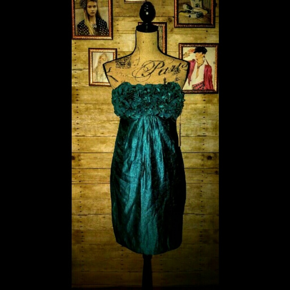 BRAND NEW Alexa Admor Designer Dress